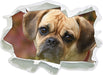 Mops Welpe  3D Wandtattoo Papier