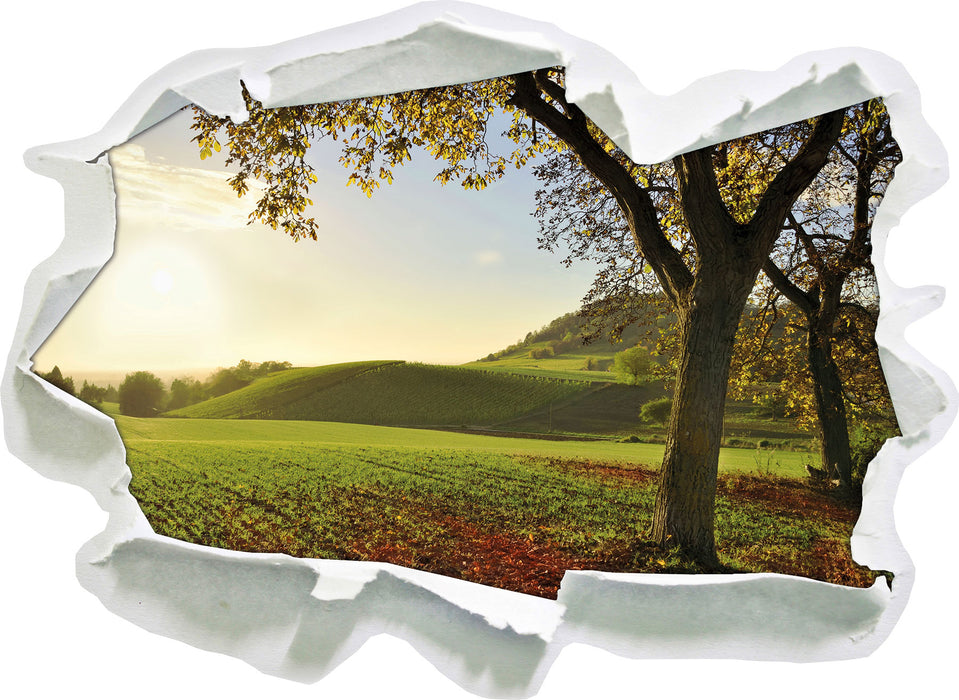 Landschaft im Herbst  3D Wandtattoo Papier