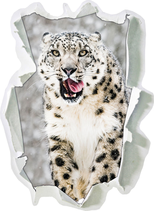 Leopard im Schnee  3D Wandtattoo Papier