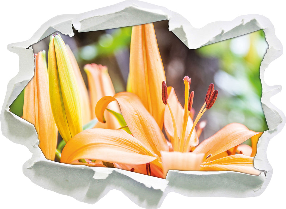 schöne orangene Lilien  3D Wandtattoo Papier
