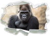 gelangweilter Gorilla  3D Wandtattoo Papier