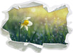 Narzissenblume in der Morgensonne  3D Wandtattoo Papier