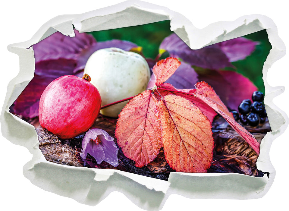 Äpfel und Blätter im Herbst  3D Wandtattoo Papier