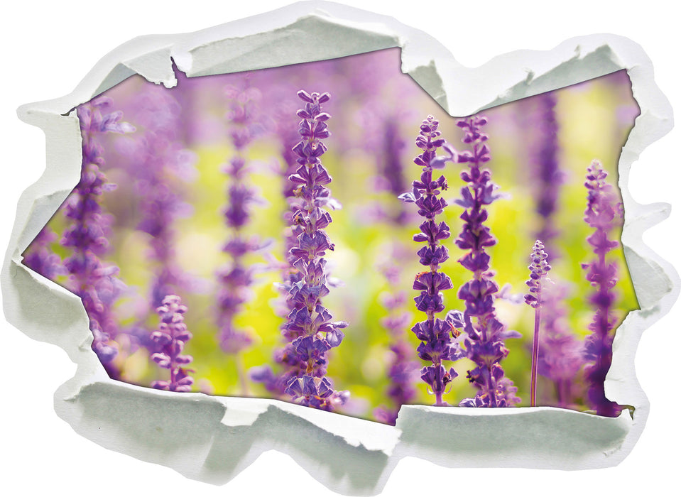 schöne violette Lavendelblüten  3D Wandtattoo Papier