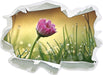 rosa Gänseblümchen im Gras  3D Wandtattoo Papier
