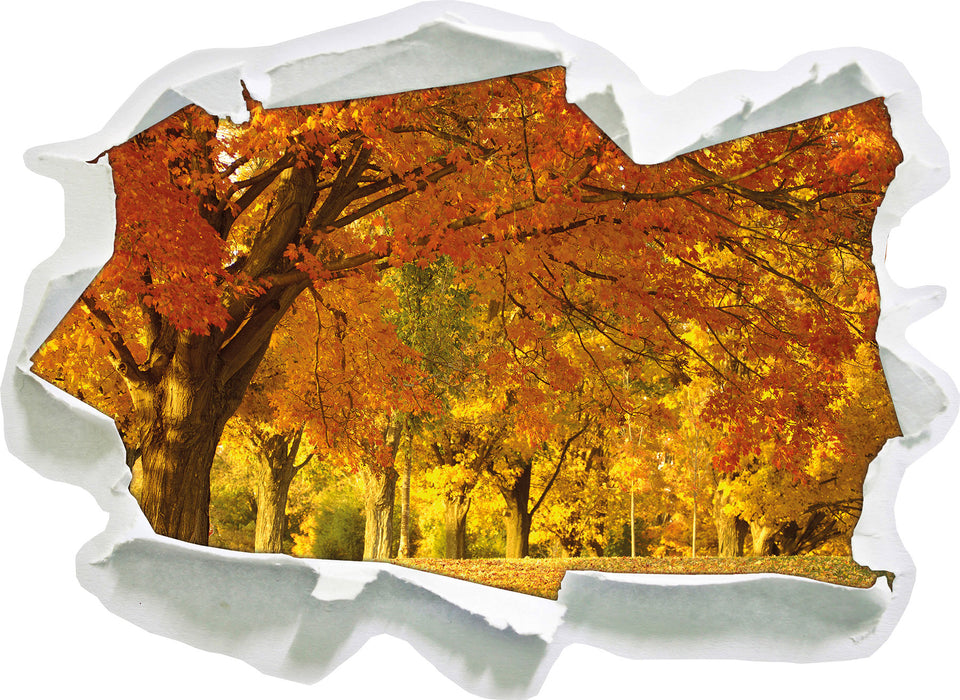 schöne Herbstlandschaft  3D Wandtattoo Papier