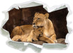 Löwe mit Löwenjungen  3D Wandtattoo Papier