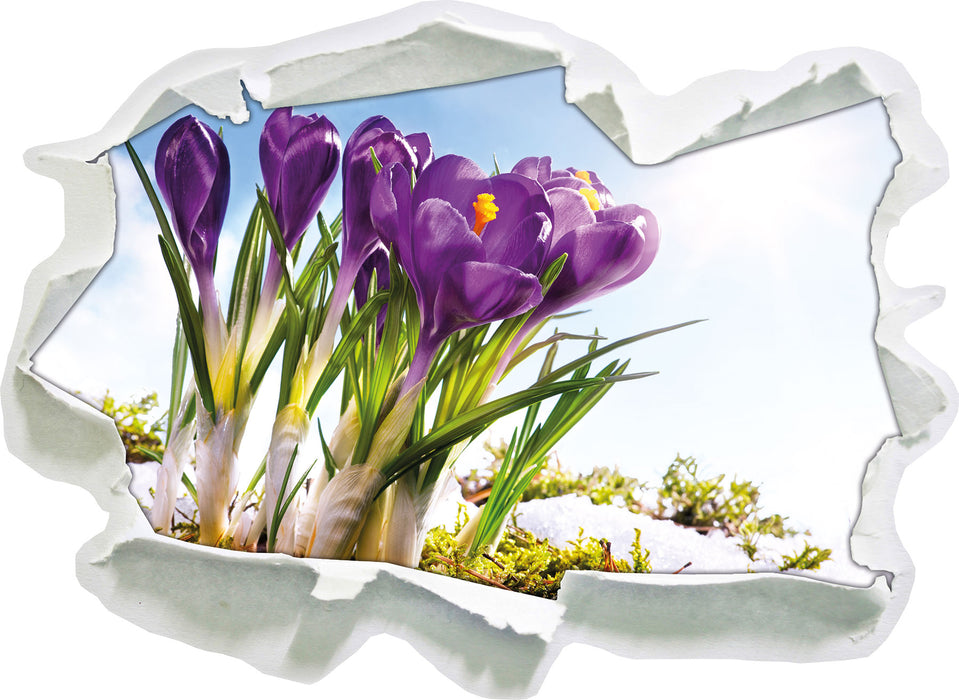 Kunst Frühling flower Hintergrund  3D Wandtattoo Papier
