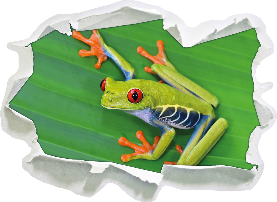 kleiner grüner Frosch auf Blatt  3D Wandtattoo Papier