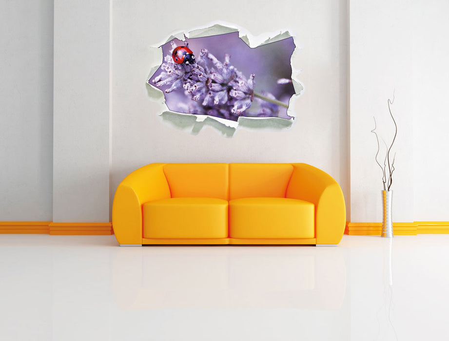 kleiner Marienkäfer auf Lavendel 3D Wandtattoo Papier Wand