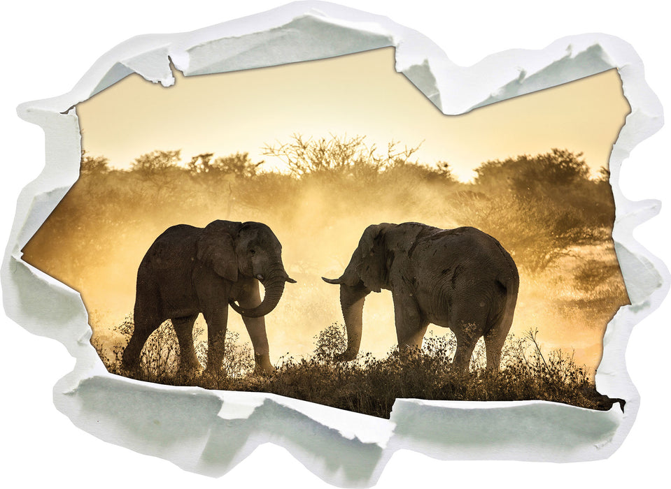 kämpfende Elefanten  3D Wandtattoo Papier