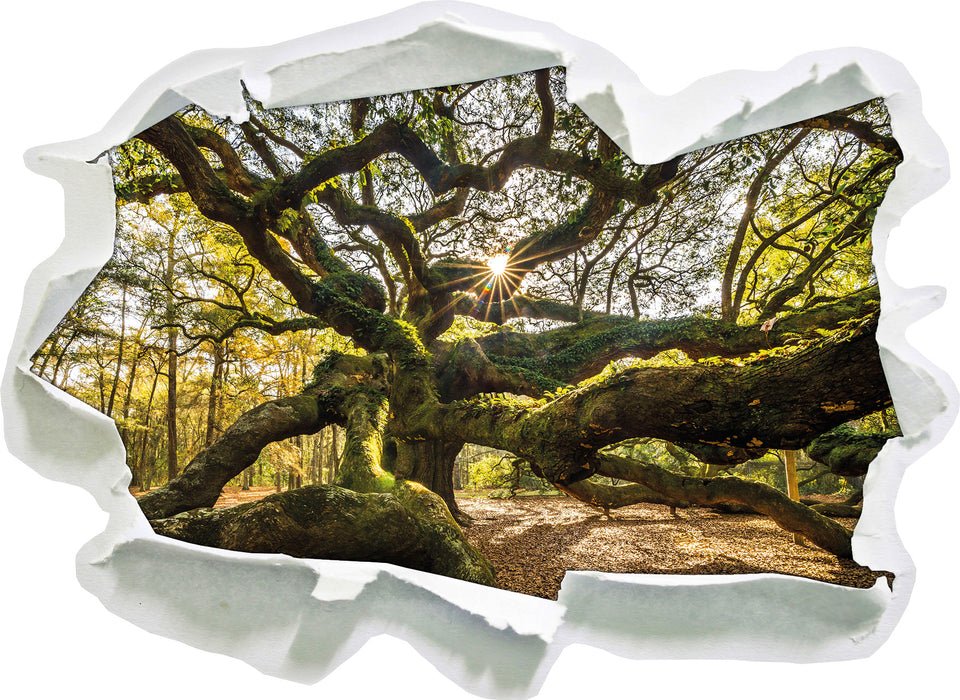 Pixxprint gigantisch verzweigter Baum, 3D Wandtattoo