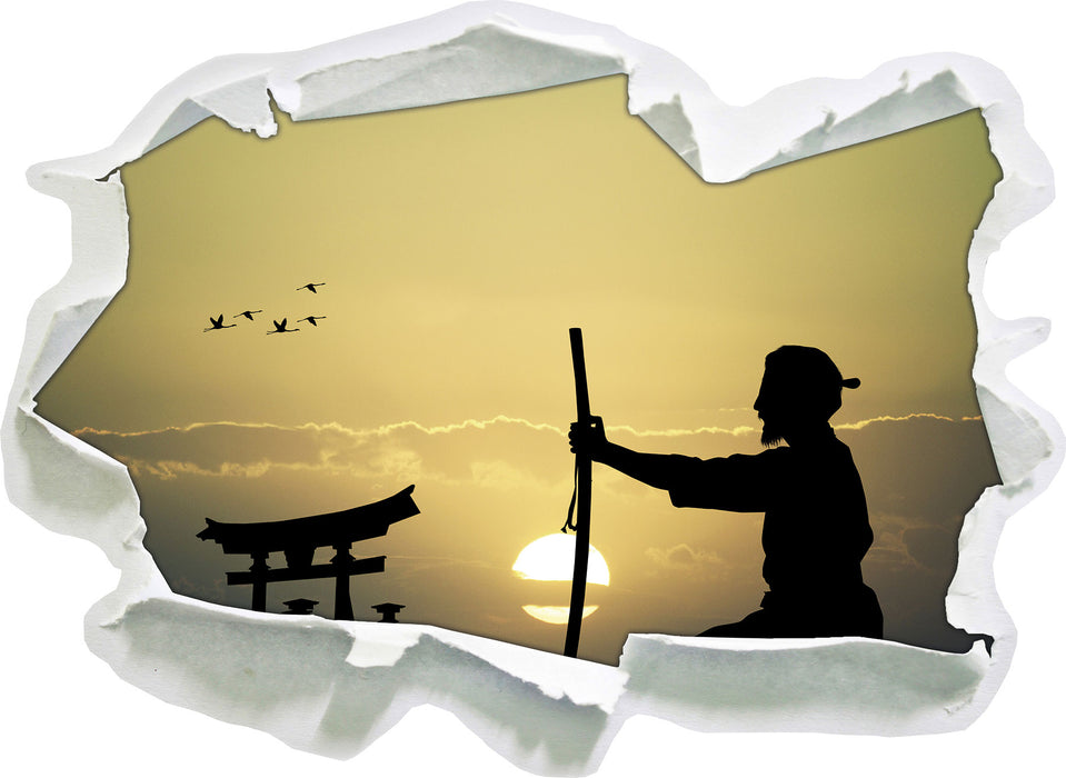 Samurai-Meister vor Horizont 3D Wandtattoo Papier