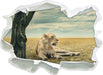 Löwin Ruhe Savanne  3D Wandtattoo Papier