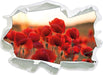 Feuriger Mohn 3D Wandtattoo Papier
