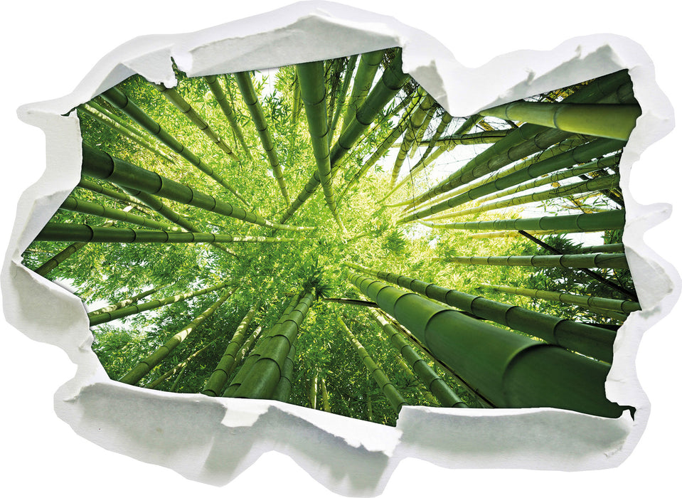 Pixxprint Grüner Bambus, 3D Wandtattoo