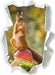 Eichhörnchen auf Fliegenpilz 3D Wandtattoo Papier