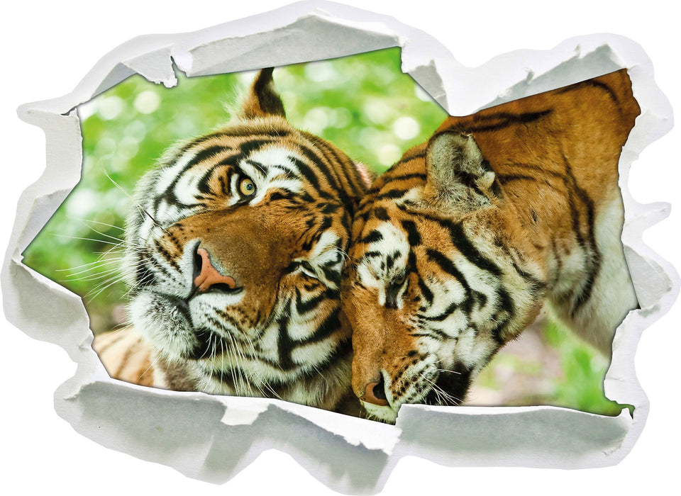 Zwei liebkosende Tiger 3D Wandtattoo Papier