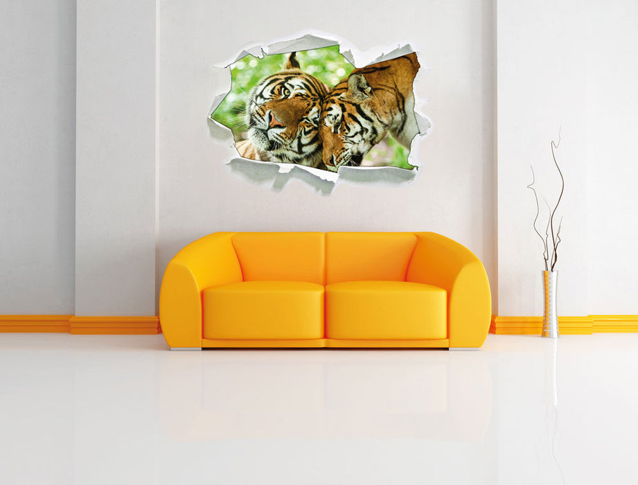 Zwei liebkosende Tiger 3D Wandtattoo Papier Wand