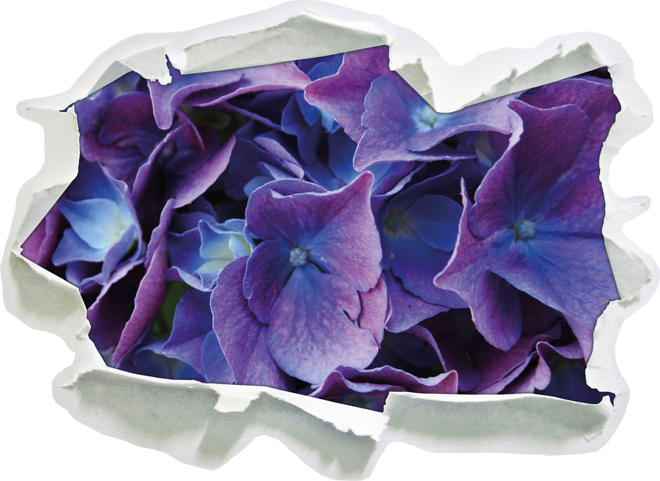 Blaue Hortensien Blüte 3D Wandtattoo Papier