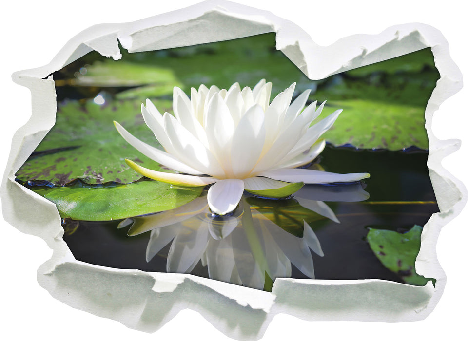 Weiße Lotusblume im Wasser 3D Wandtattoo Papier