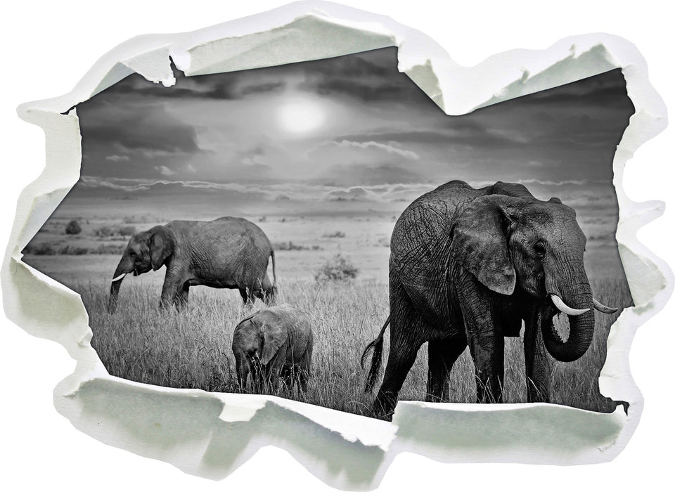 Elefanten in der Savanne 3D Wandtattoo Papier