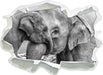 Elefantenmutter mit Kalb B&W 3D Wandtattoo Papier