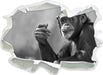 Aufmerksamer Schimpanse Kunst B&W 3D Wandtattoo Papier
