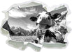 Kuh im Karwendelgebirge Kunst B&W 3D Wandtattoo Papier