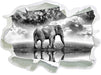 Elefant, Wiese, Himmel, Afrika 3D Wandtattoo Papier