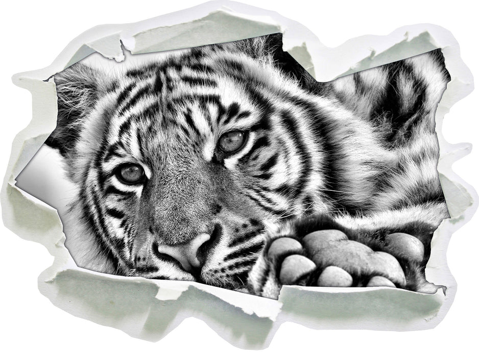 Tiger 3D Wandtattoo Papier