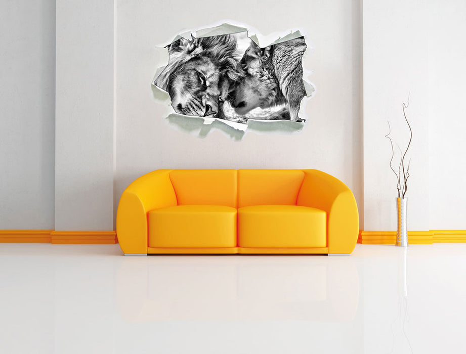 Kuschelnde Löwen B&W 3D Wandtattoo Papier Wand