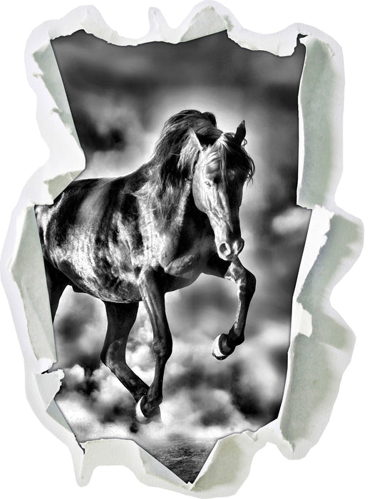 Schwarzes Pferd B&W 3D Wandtattoo Papier