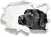 Schwarzer Labrador im Schnee B&W 3D Wandtattoo Papier