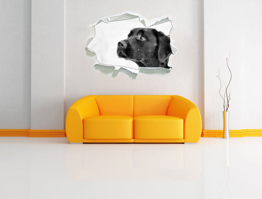 Schwarzer Labrador im Schnee B&W 3D Wandtattoo Papier Wand