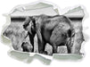 Elefantenweibchen mit Jungtier 3D Wandtattoo Papier