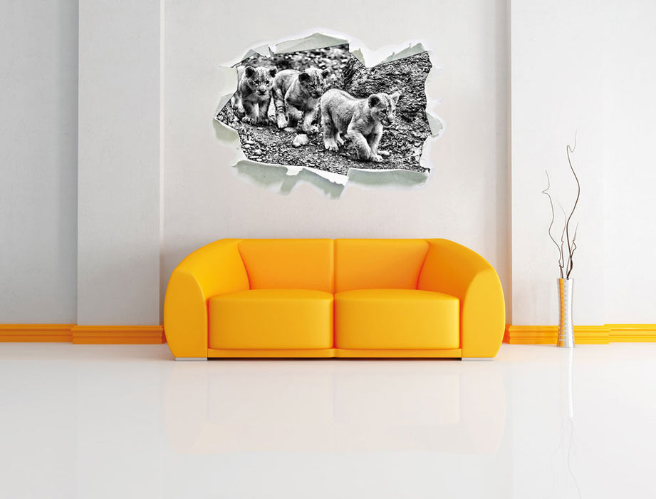 niedliche Löwenjungtiere 3D Wandtattoo Papier Wand