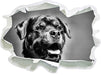 Treuer Rottweiler 3D Wandtattoo Papier