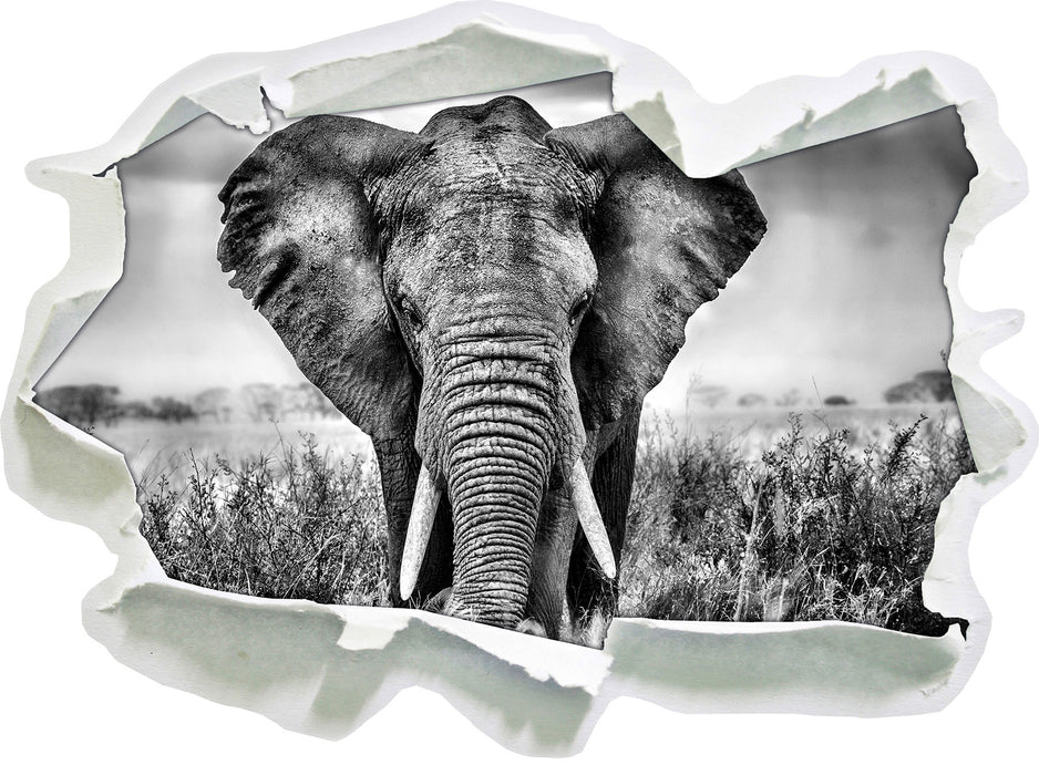 Imposanter Elefant 3D Wandtattoo Papier