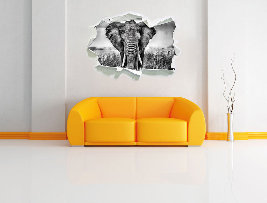 Imposanter Elefant 3D Wandtattoo Papier Wand