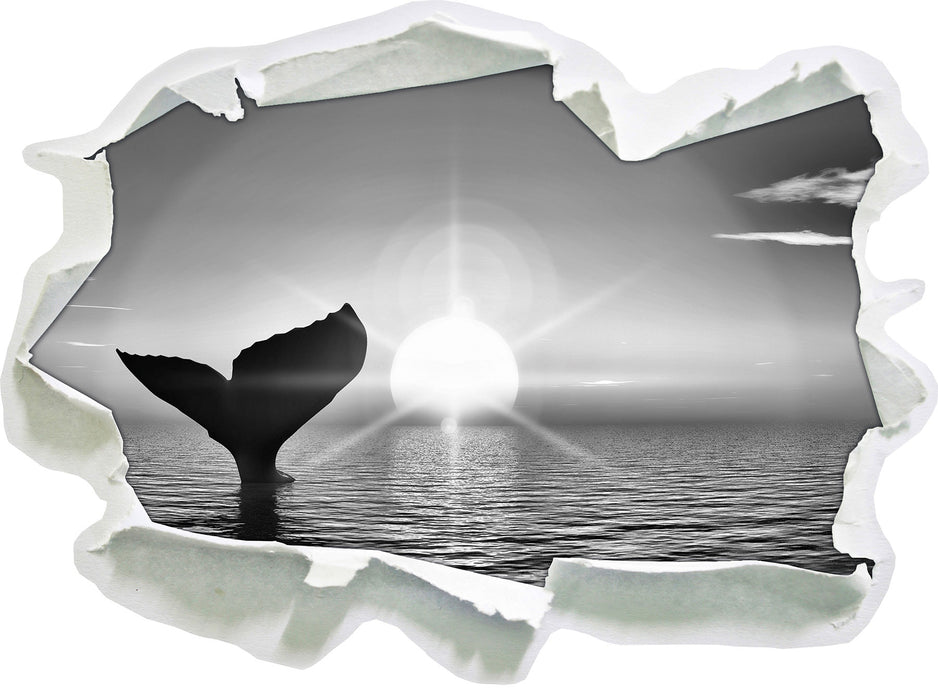 Walflosse im Sonnenuntergang 3D Wandtattoo Papier