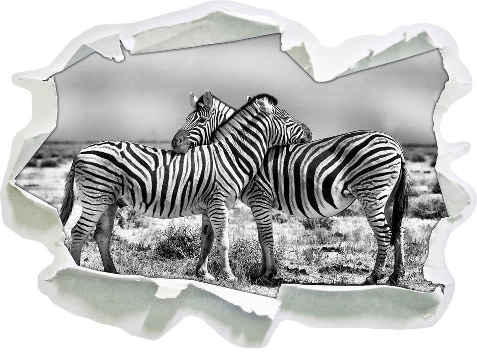 Schmusende Zebras 3D Wandtattoo Papier
