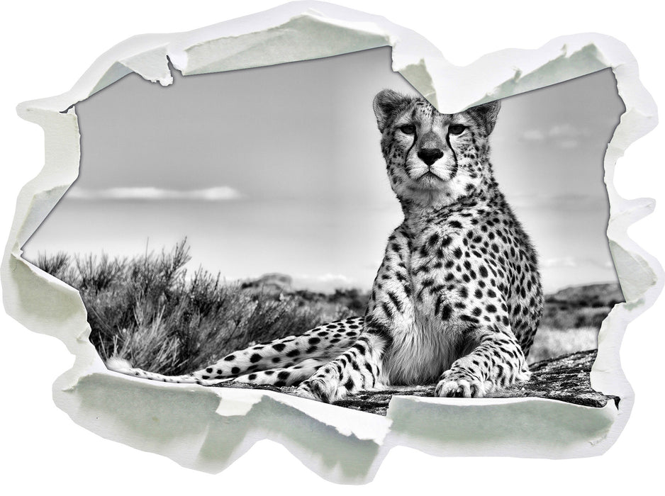 Gepard in Savanne B&W 3D Wandtattoo Papier