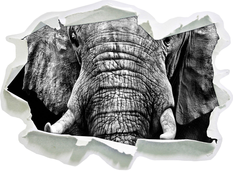 Elefant B&W 3D Wandtattoo Papier