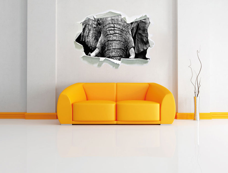 Elefant B&W 3D Wandtattoo Papier Wand