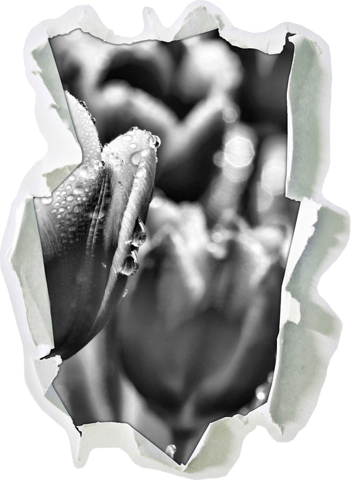 Tulpen mit Morgentau B&W 3D Wandtattoo Papier