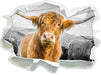 Blick einer Kuh an der Weide B&W 3D Wandtattoo Papier