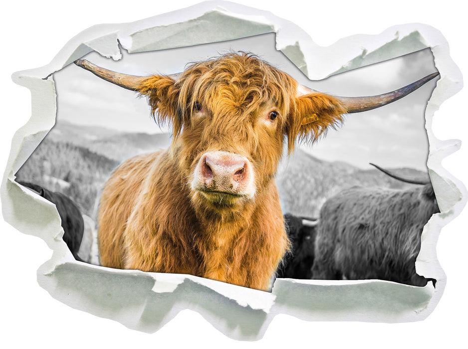 Blick einer Kuh an der Weide B&W 3D Wandtattoo Papier