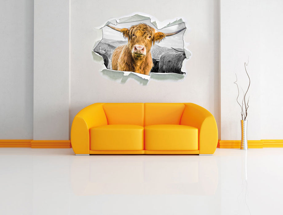 Blick einer Kuh an der Weide B&W 3D Wandtattoo Papier Wand