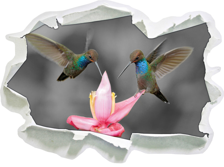 Kolibris in den Tropen 3D Wandtattoo Papier